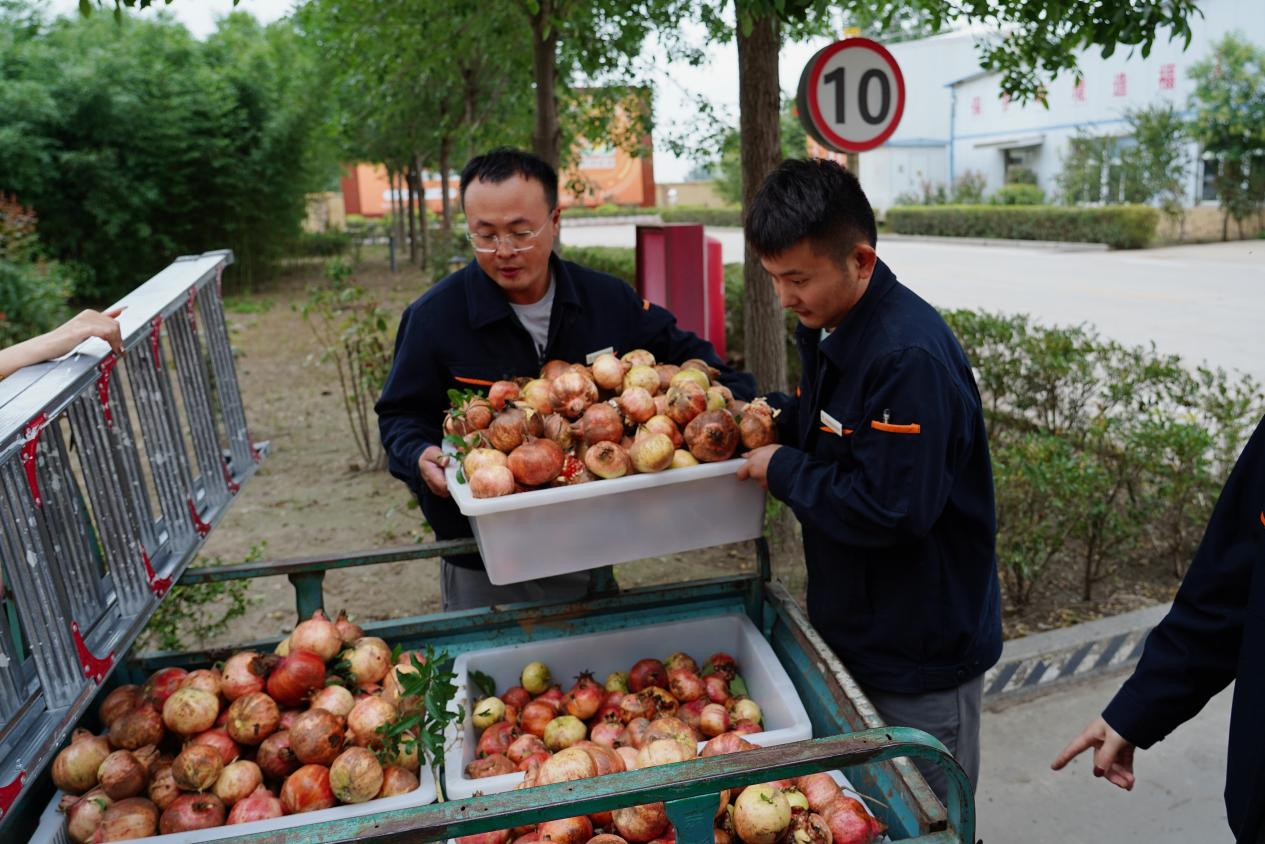 壹定发·(EDF)最新官方网站